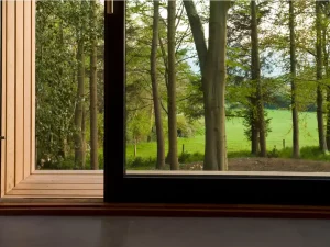 Window view from Ecospace's garden room