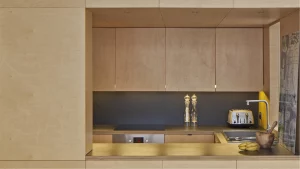 Ecospace's modular kitchen